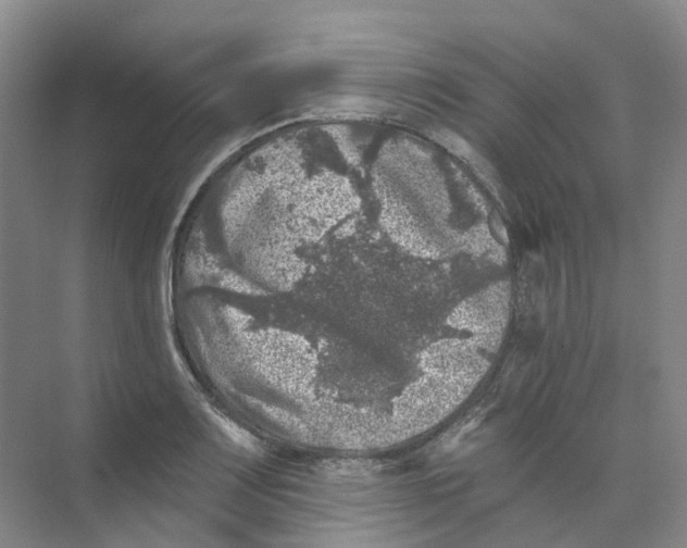 X0000074041083200609181946