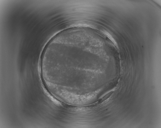 X0000074041084200609181946