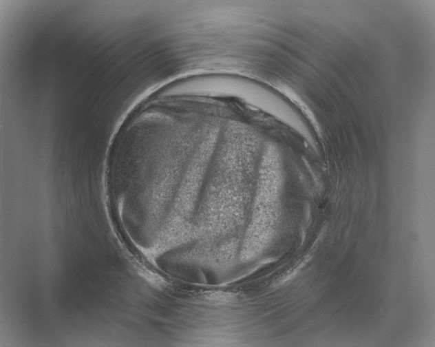 X0000074041085200609181946