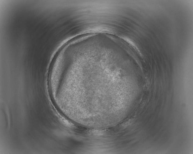 X0000074041086200609181946