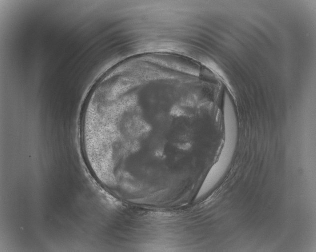 X0000074041088200609181946