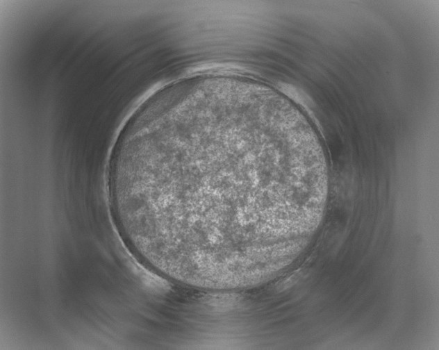 X0000074041090200609181946