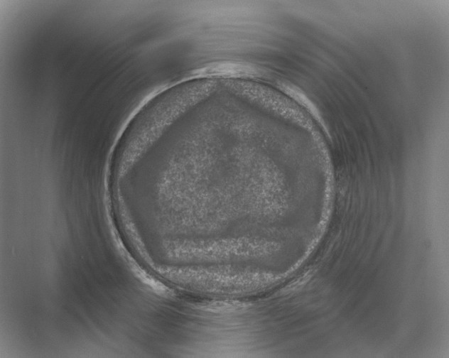 X0000074041091200609181946