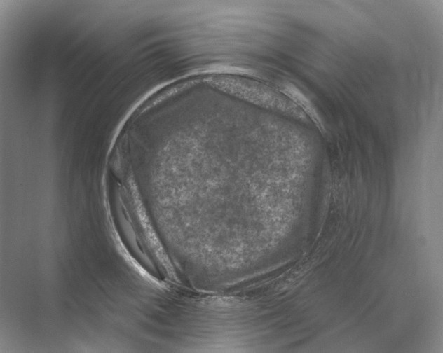 X0000074041092200609181946