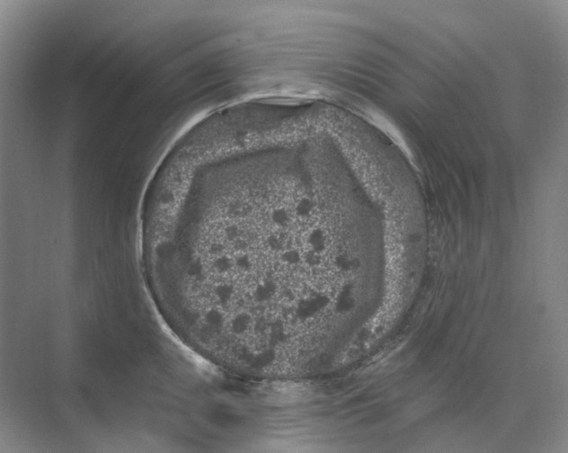 X0000074041095200609181946