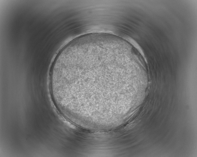 X0000074041096200609181946