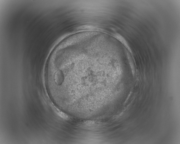 X0000074041098200609181946