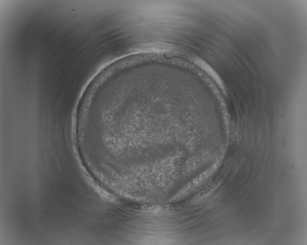 X0000074041099200609181946