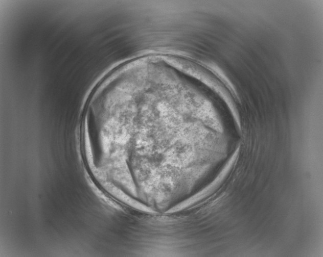 X0000074041100200609181946