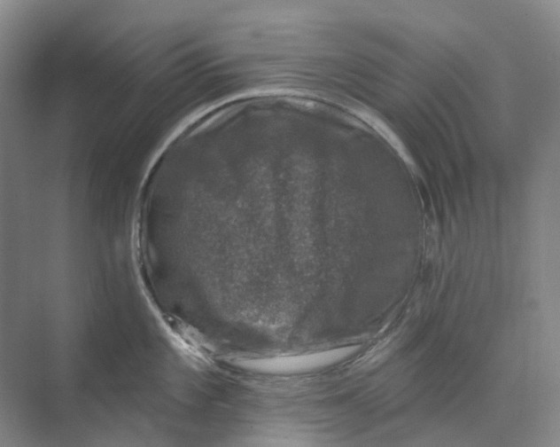 X0000074041101200609181946