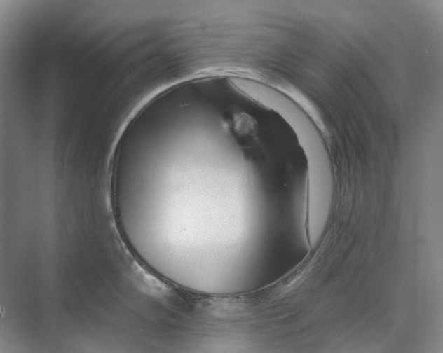 X0000074041102200609181946