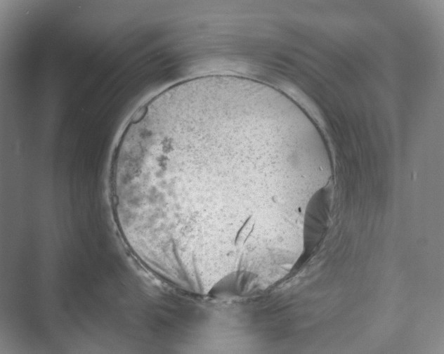 X0000074041104200609181946