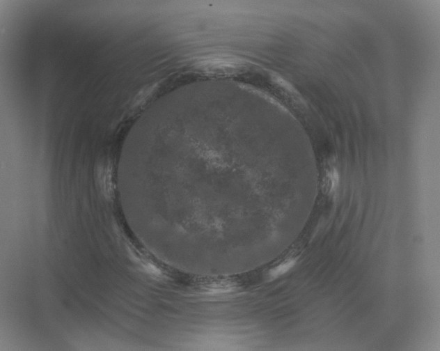 X0000074041108200609181945