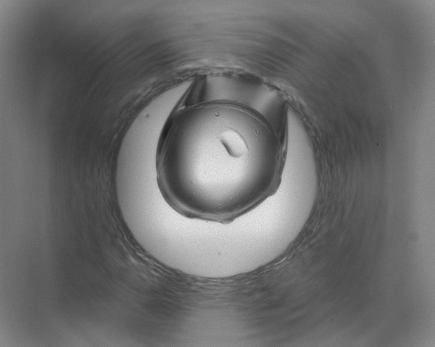 X0000074041110200609181945