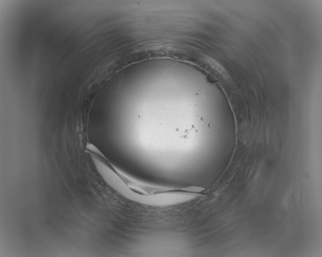 X0000074041111200609181945