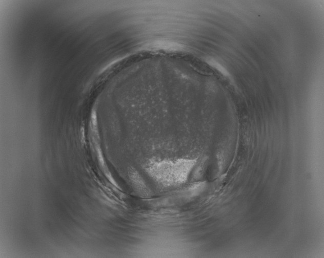 X0000074041112200609181945