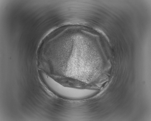 X0000074041114200609181945