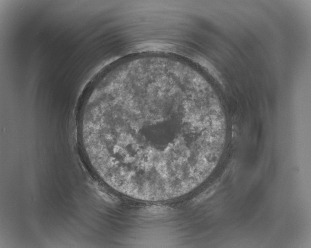 X0000074041117200609181945