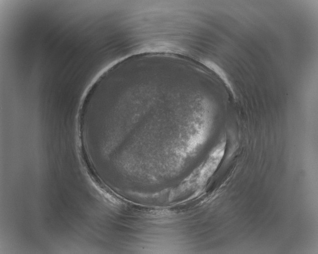 X0000074041120200609181945