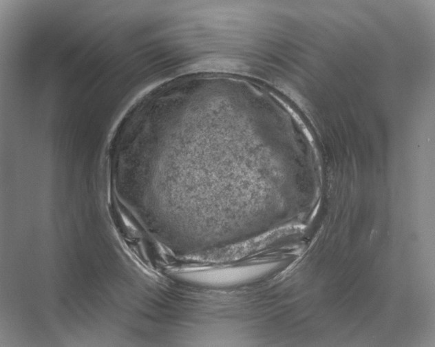 X0000074041123200609181945