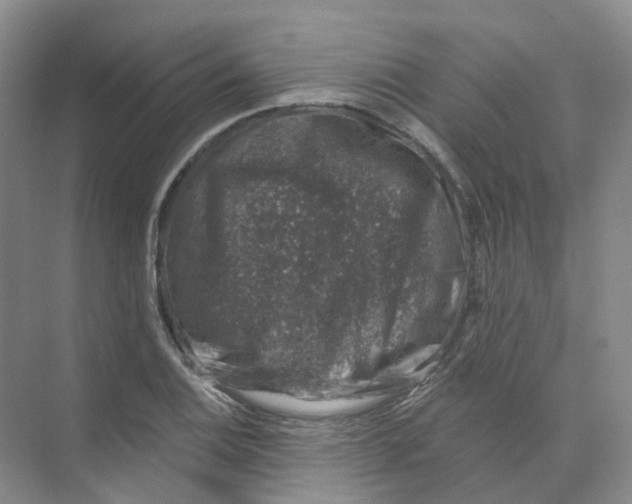 X0000074041124200609181945