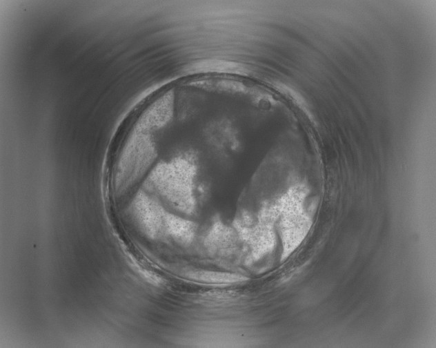 X0000074041125200609181945