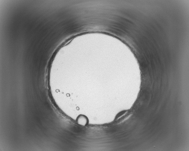 X0000074041126200609181945