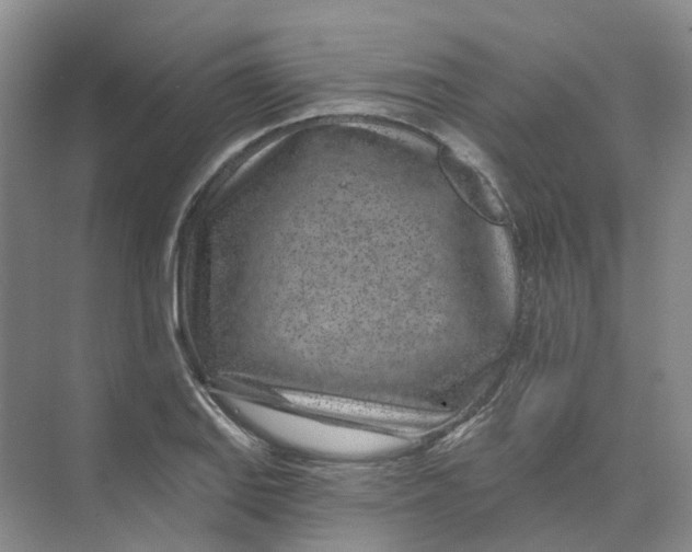 X0000074041127200609181945