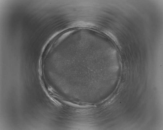 X0000074041128200609181945