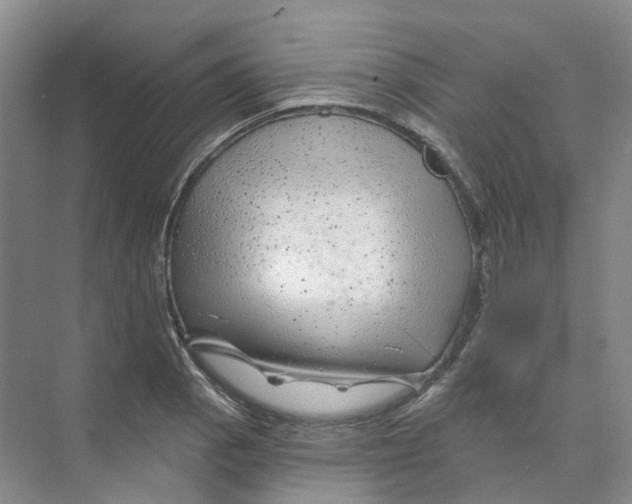 X0000074041129200609181945