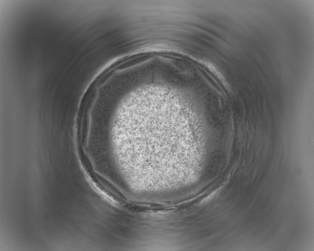 X0000074041134200609181945