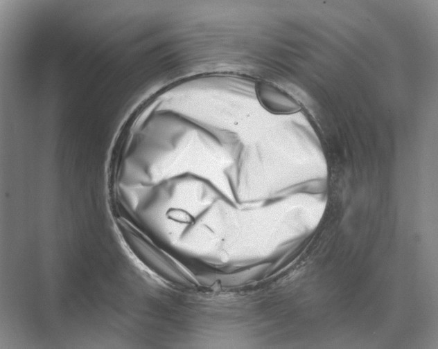 X0000074041135200609181946