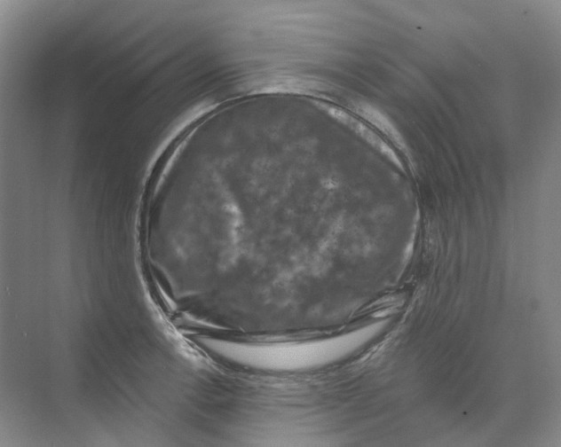 X0000074041138200609181946