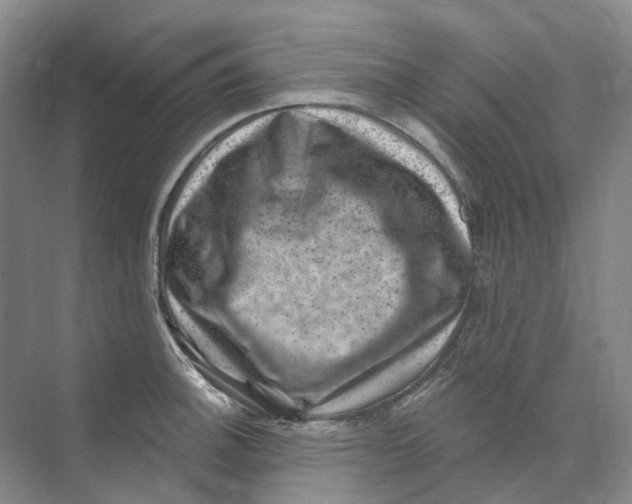 X0000074041140200609181946