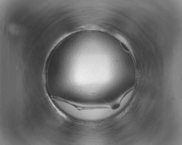 X0000074041141200609181946