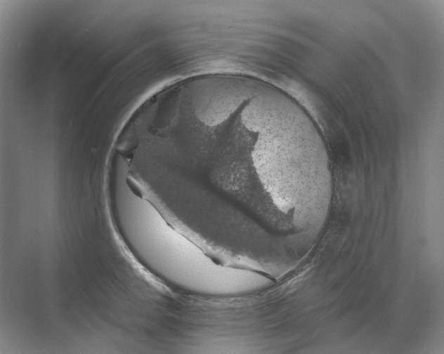 X0000074041142200609181946