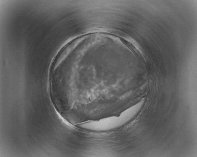 X0000074041143200609181946