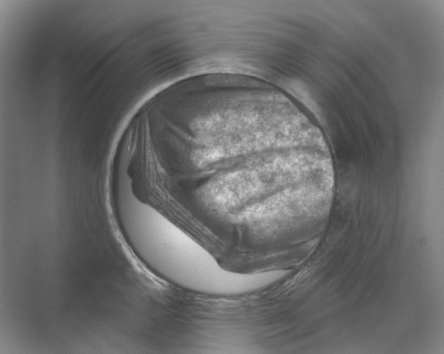 X0000074041144200609181946