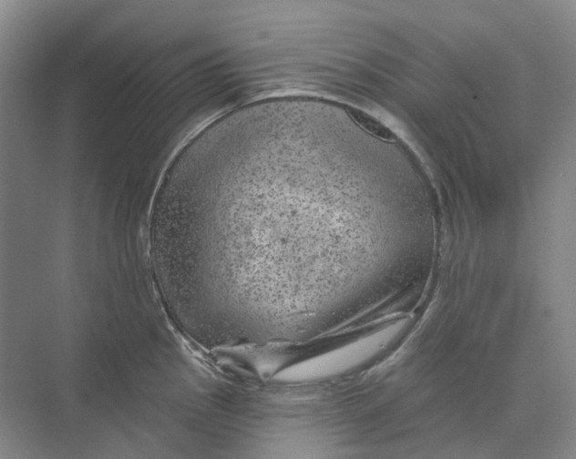 X0000074041145200609181946