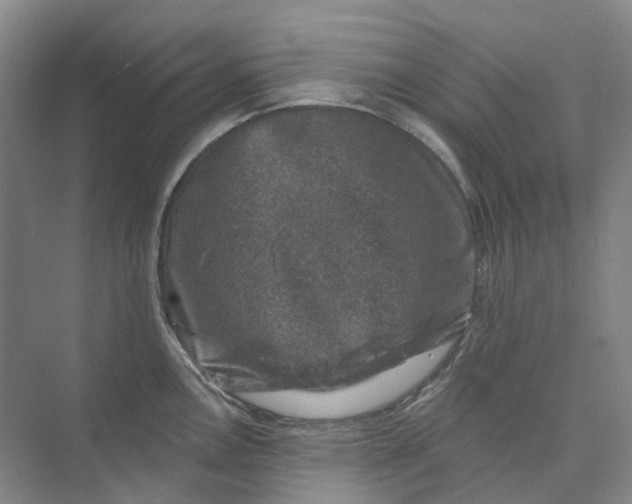 X0000074041146200609181946