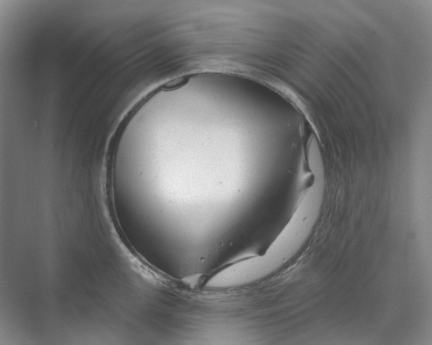 X0000074041147200609181946