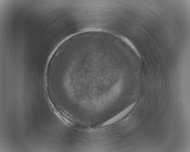 X0000074041148200609181946