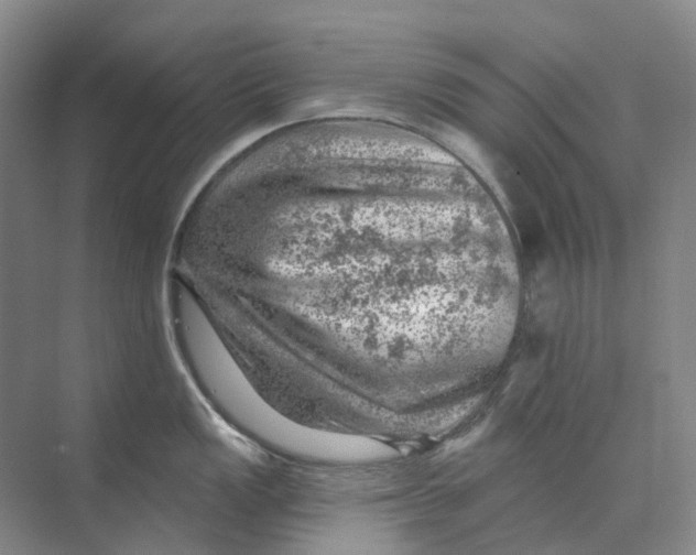 X0000074041149200609181946