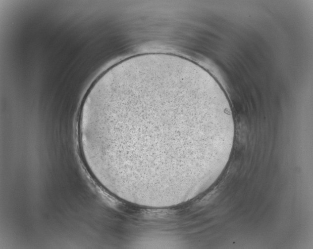 X0000074041150200609181946