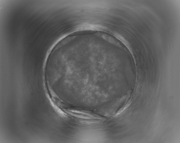 X0000074041152200609181946