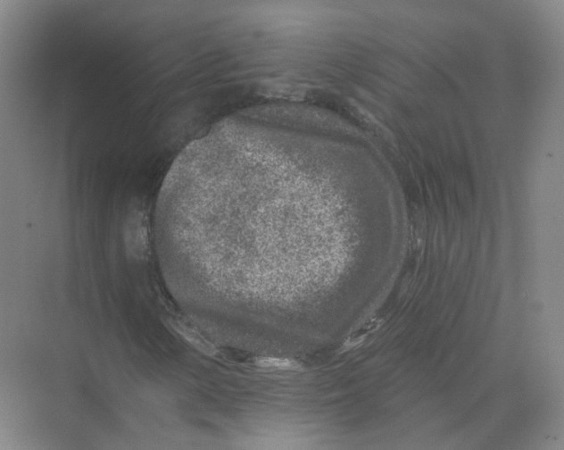 X0000074041154200609181945