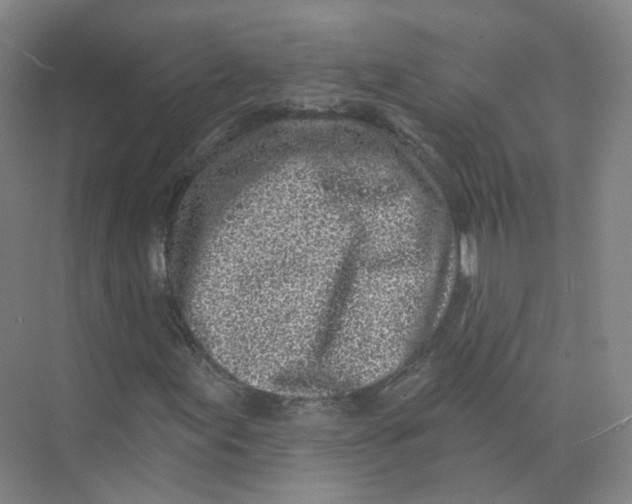 X0000074041155200609181945