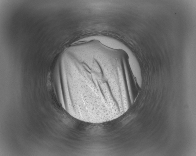 X0000074041156200609181945