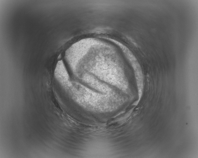 X0000074041158200609181945