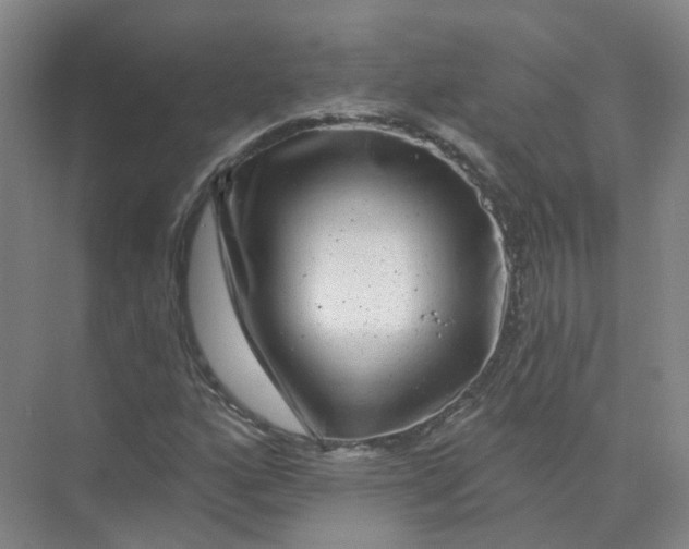 X0000074041160200609181945